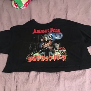 Jurassic Park crop top
